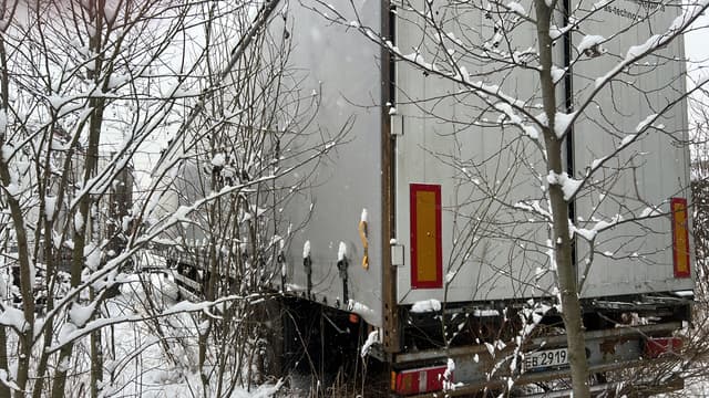 Ice Bear TDZ94* Полуприцеп шторный - 4