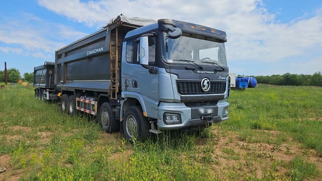 Shacman (Shaanxi) SX* 8x4 Самосвал - 2