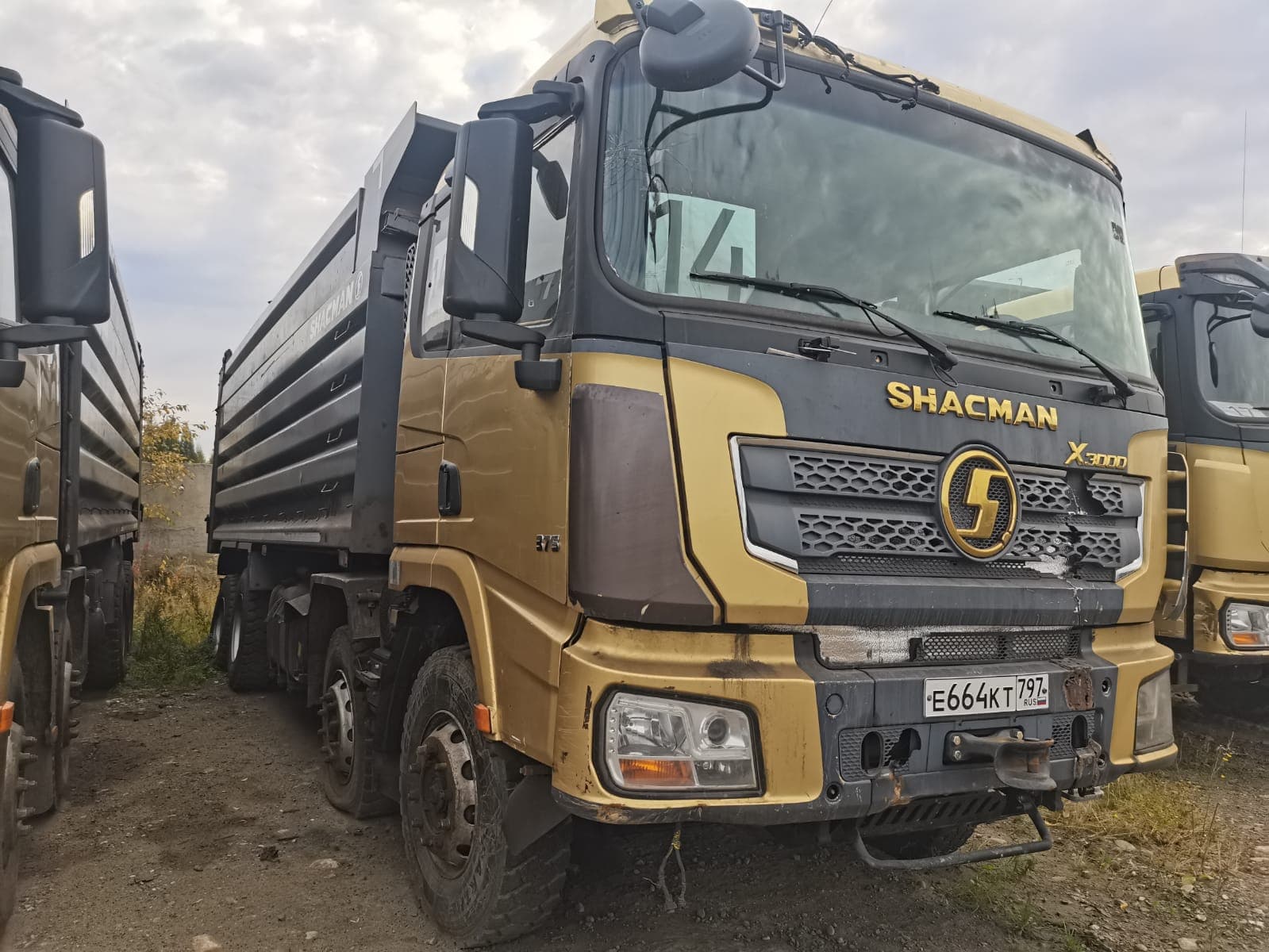 Shacman (Shaanxi) SX33186T366 8х4 Самосвал - 2