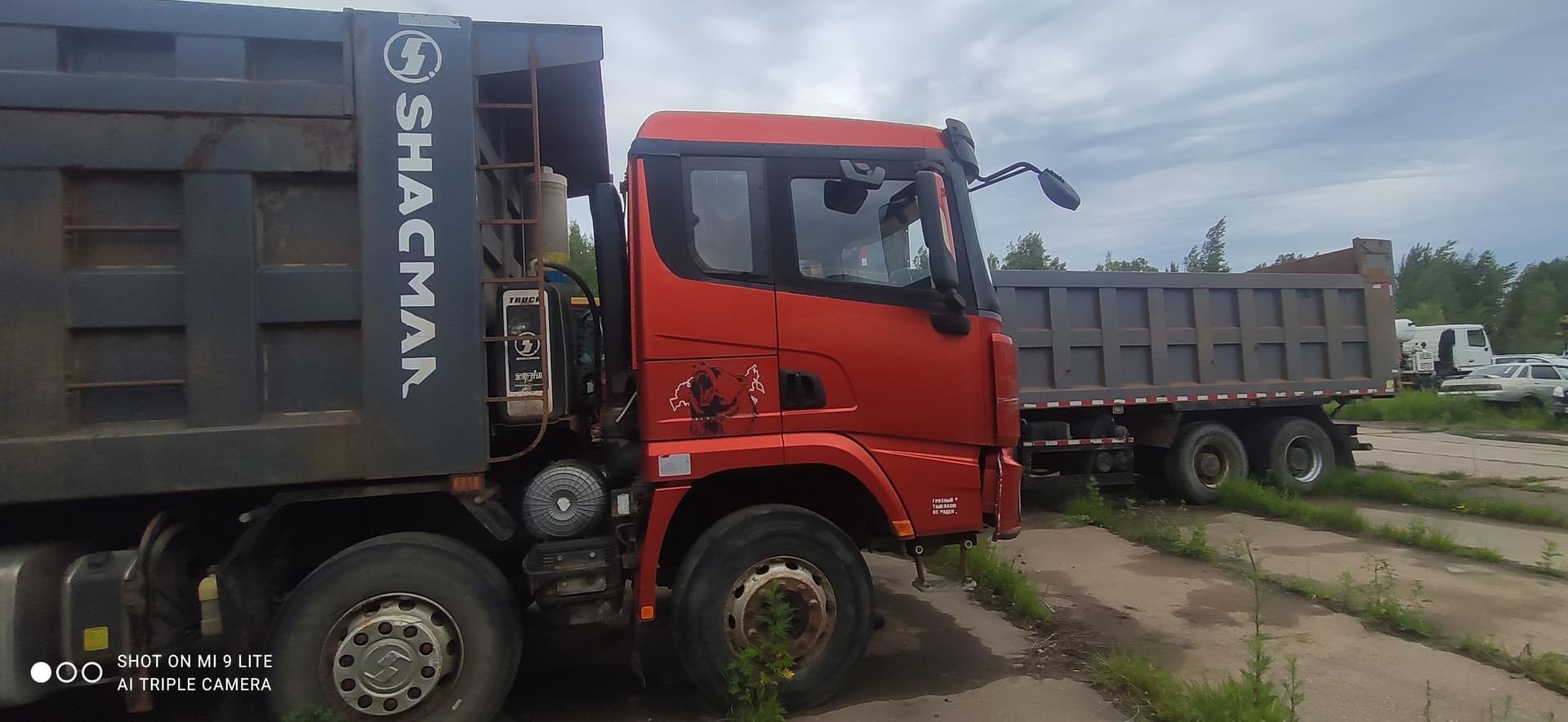 Shacman (Shaanxi) SX33186T366 8x4 Самосвал - 3