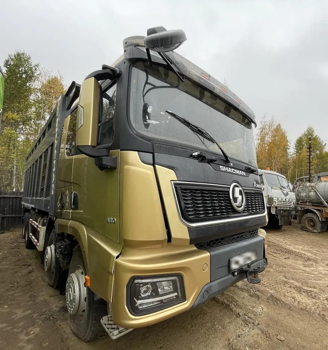 Shacman (Shaanxi) SX* 8x4 Самосвал - 2