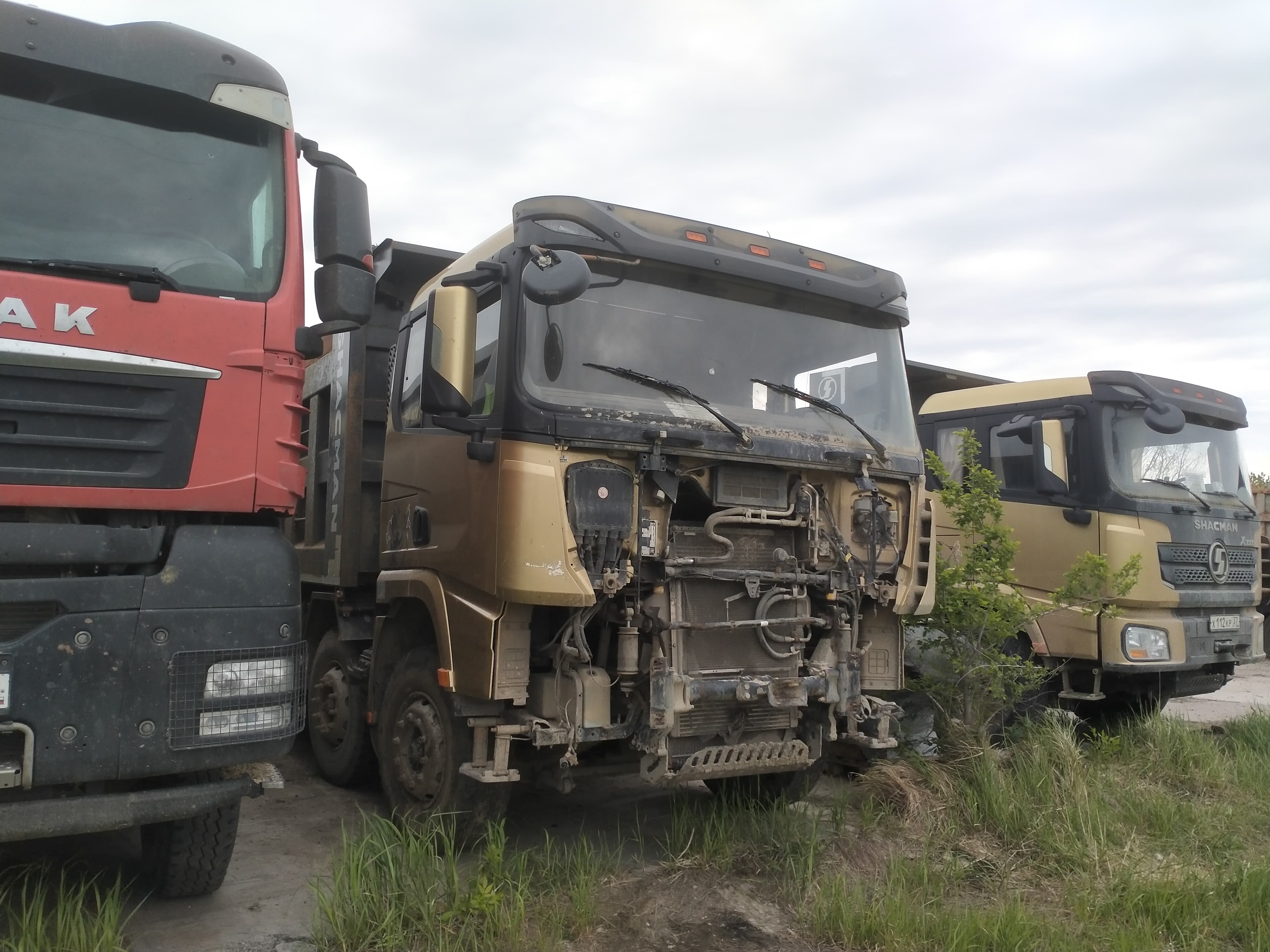 Shacman (Shaanxi) SX331863366 Самосвал 8х4 - 2