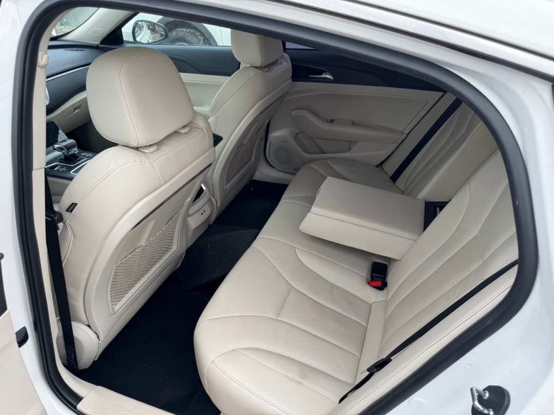 Hongqi H5 - 9