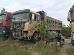 Shacman (Shaanxi) SX331863366 Самосвал  8х4 - 1