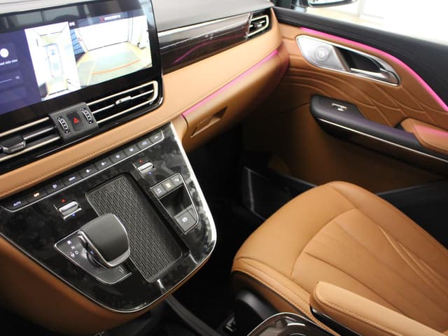 Hongqi HQ9 - 3