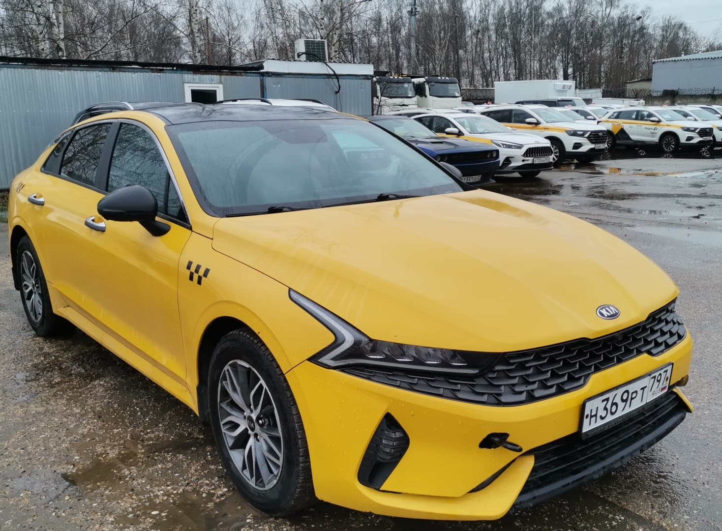 KIA K5 - 2
