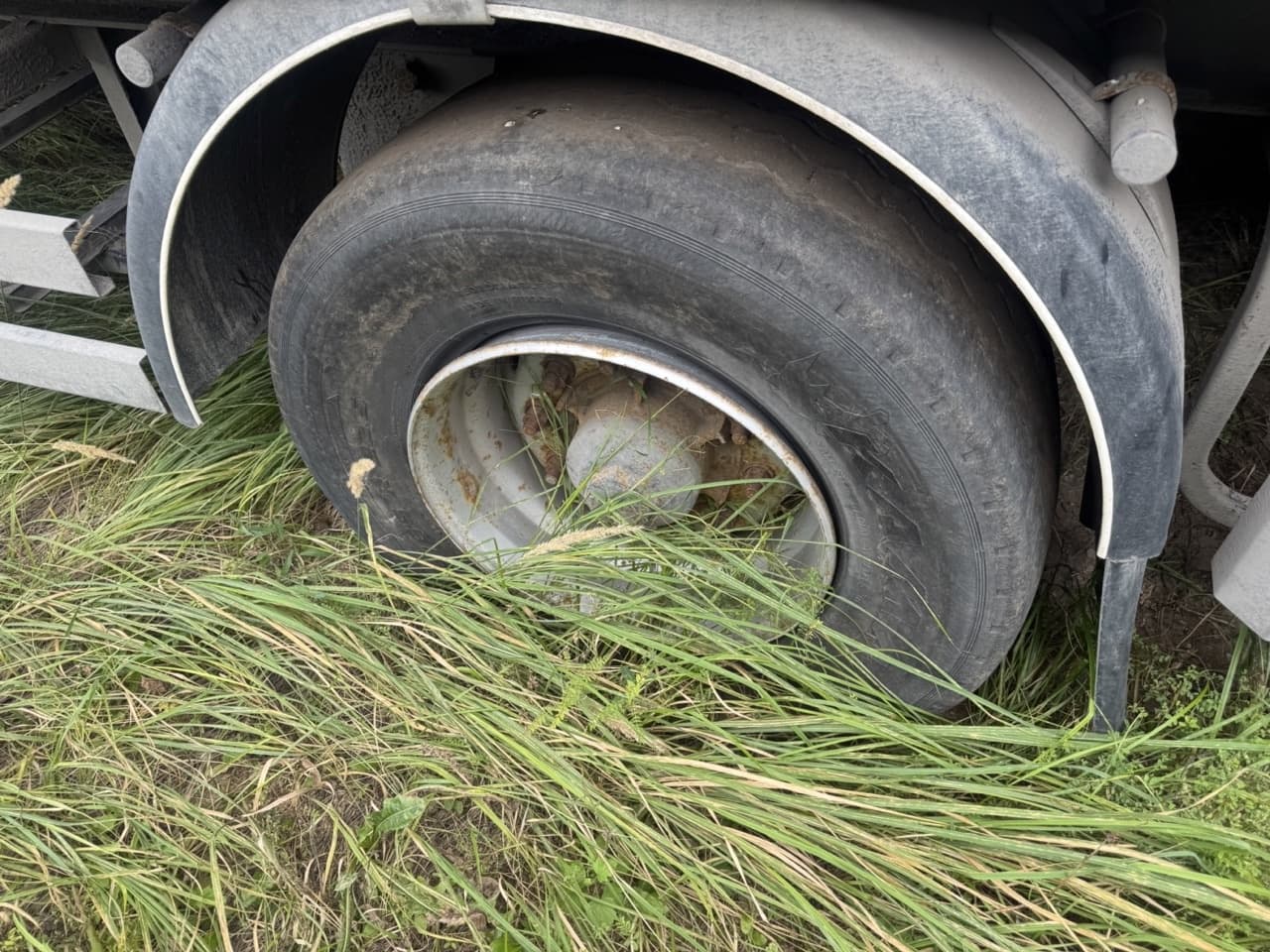 Тонар 97882 Полуприцеп шторный - 5