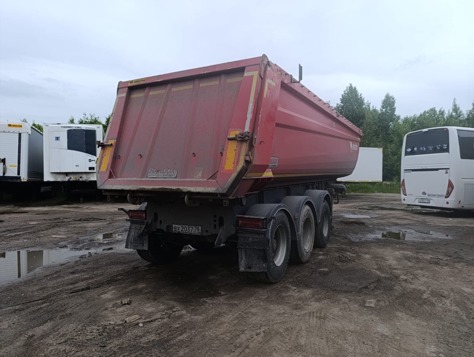 Wielton NW 3 Полуприцеп самосвальный - 3