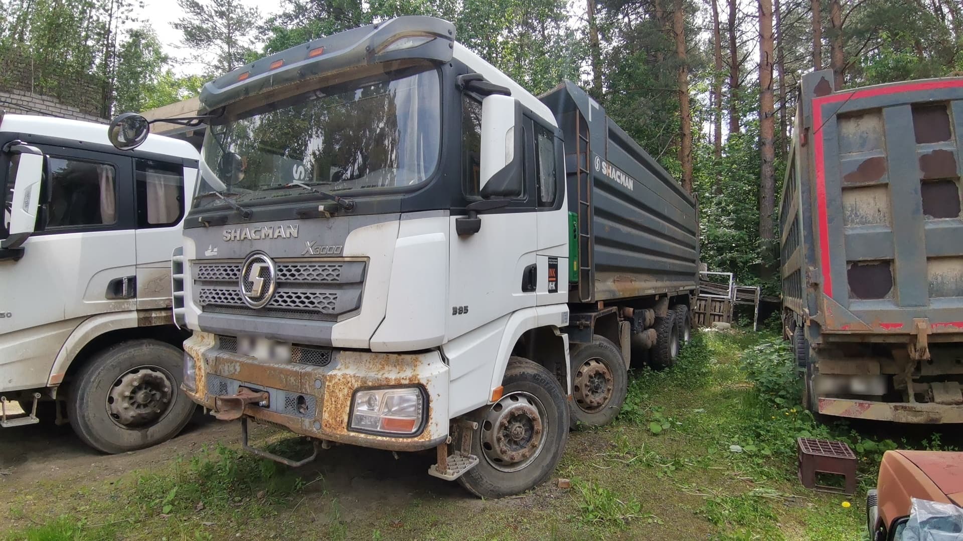 Shacman (Shaanxi) SX33186T366 8х4 Самосвал - 1