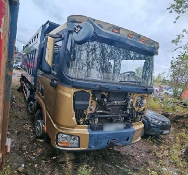 Shacman (Shaanxi) SX* 8x4 Самосвал - 2