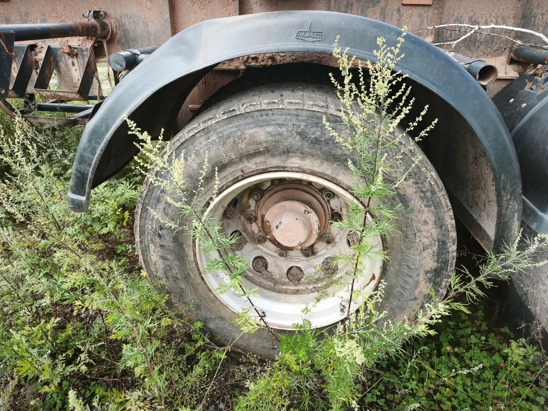 МАЗ 892620* Прицеп сортиментовоз - 5