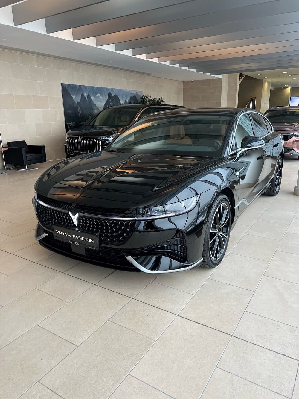 Voyah Passion EDA***0373 EVR в лизинг - 1