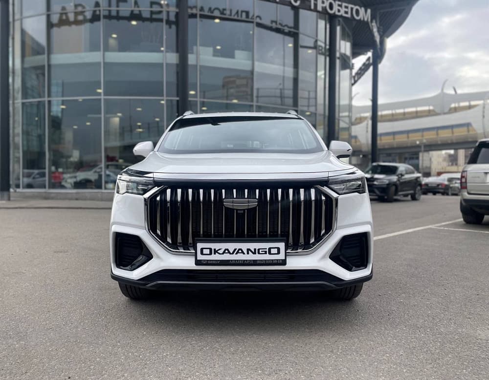 Geely Okavango L6T***7653 Luxury 2.0T 7DCT 2WD в лизинг - 1